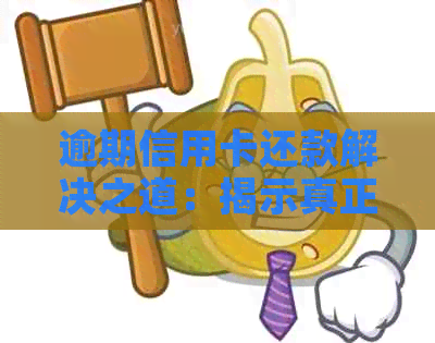 逾期信用卡还款解决之道：揭示真正的函策略