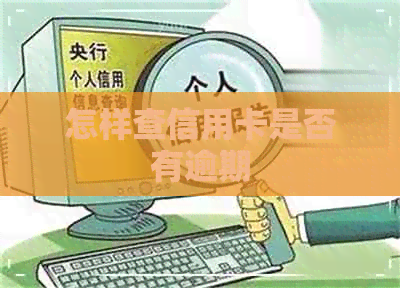 怎样查信用卡是否有逾期