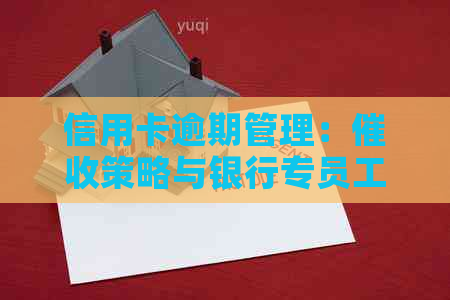 信用卡逾期管理：策略与银行专员工作解析