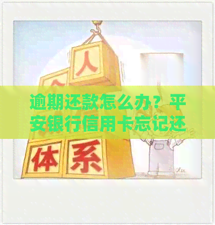 逾期还款怎么办？平安银行信用卡忘记还款产生的影响与解决方法