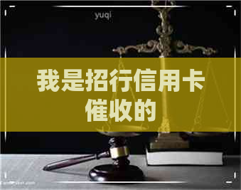 我是招行信用卡的
