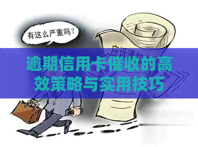 逾期信用卡的高效策略与实用技巧