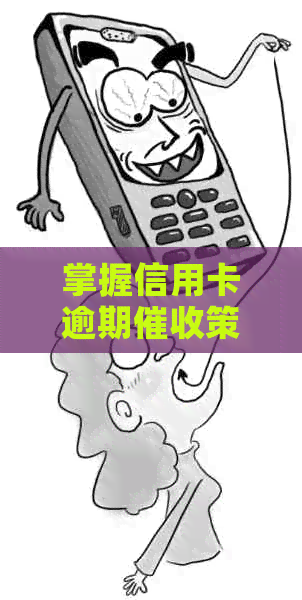 掌握信用卡逾期策略：提升信用、降低风险的有效工作指南