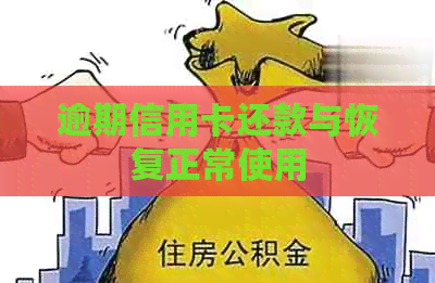 逾期信用卡还款与恢复正常使用