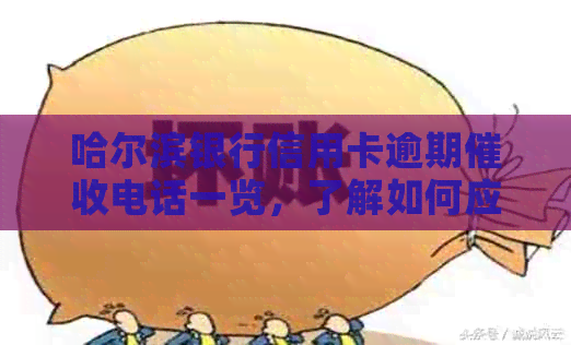 哈尔滨银行信用卡逾期电话一览，了解如何应对和解决信用卡欠款问题