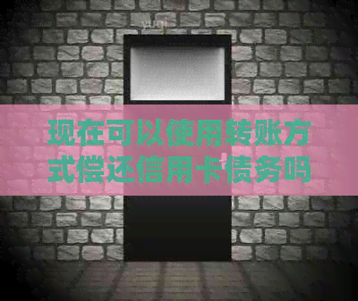 现在可以使用转账方式偿还信用卡债务吗？
