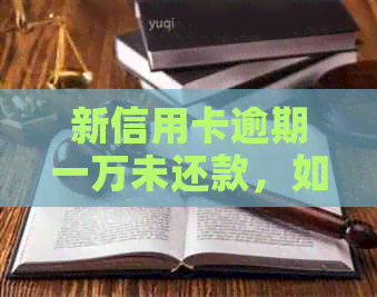 新信用卡逾期一万未还款，如何向母解释并制定还款计划？