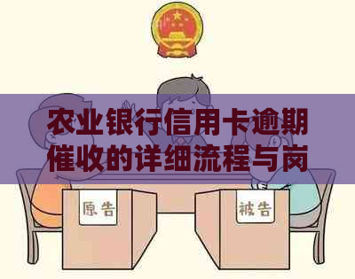 农业银行信用卡逾期的详细流程与岗位职责探讨