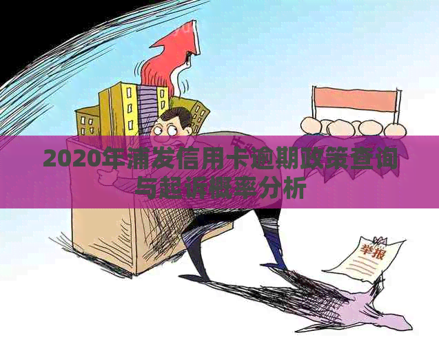 2020年浦发信用卡逾期政策查询与起诉概率分析