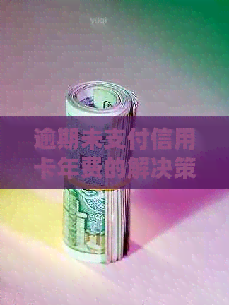 逾期未支付信用卡年费的解决策略：详细指南与建议