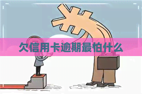 欠信用卡逾期最怕什么