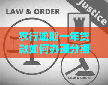 农行逾期一年贷款如何办理分期还款？利息减免政策是否适用？