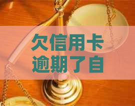 欠信用卡逾期了自救的办法：银行协商解决与减免政策