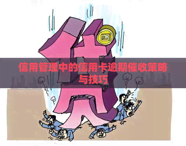 信用管理中的信用卡逾期策略与技巧