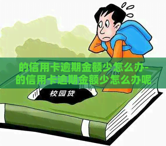 的信用卡逾期金额少怎么办-的信用卡逾期金额少怎么办呢