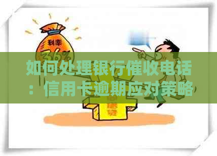 如何处理银行电话：信用卡逾期应对策略