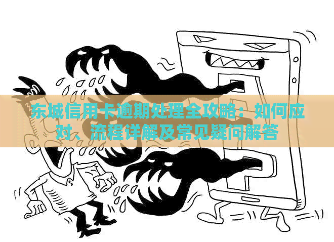 东城信用卡逾期处理全攻略：如何应对、流程详解及常见疑问解答