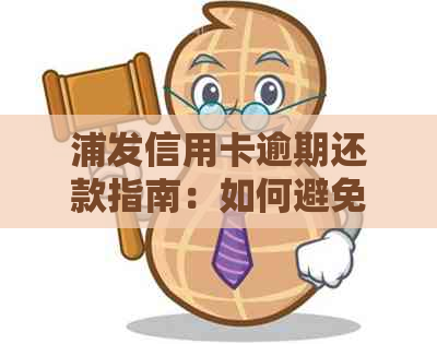 浦发信用卡逾期还款指南：如何避免罚息和影响个人信用？