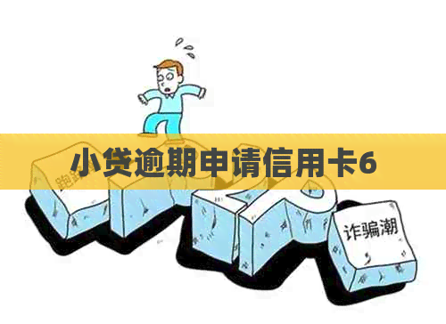 小贷逾期申请信用卡6