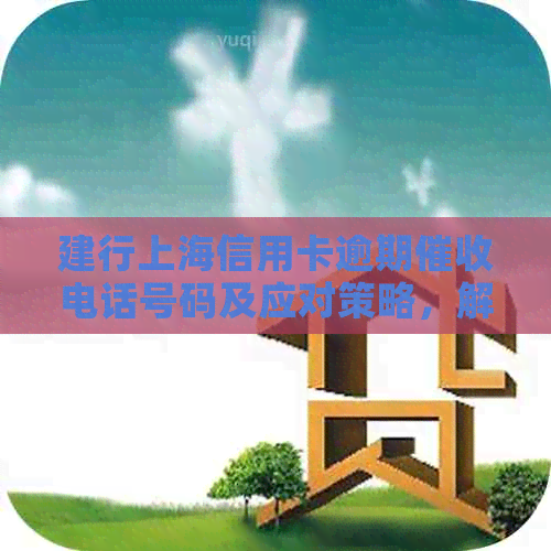 建行上海信用卡逾期电话号码及应对策略，解决用户还款困扰与疑问