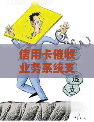 信用卡业务系统支持平台和功能：请列举并说明。