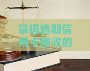 掌握逾期信用卡的实用技巧：如何提高效率