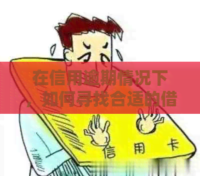 在信用逾期情况下，如何寻找合适的借款渠道并避免被骗