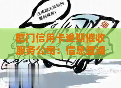 厦门信用卡逾期服务公司：信息查询与金融解决方案