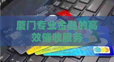 厦门专业金融的高效服务