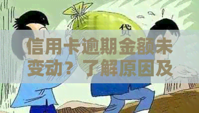 信用卡逾期金额未变动？了解原因及解决方案！