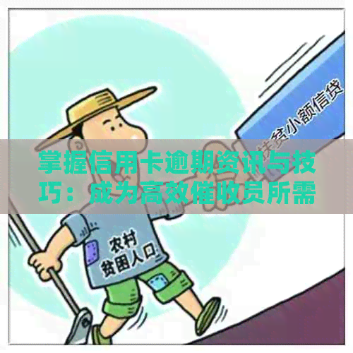 掌握信用卡逾期资讯与技巧：成为高效员所需的关键素质