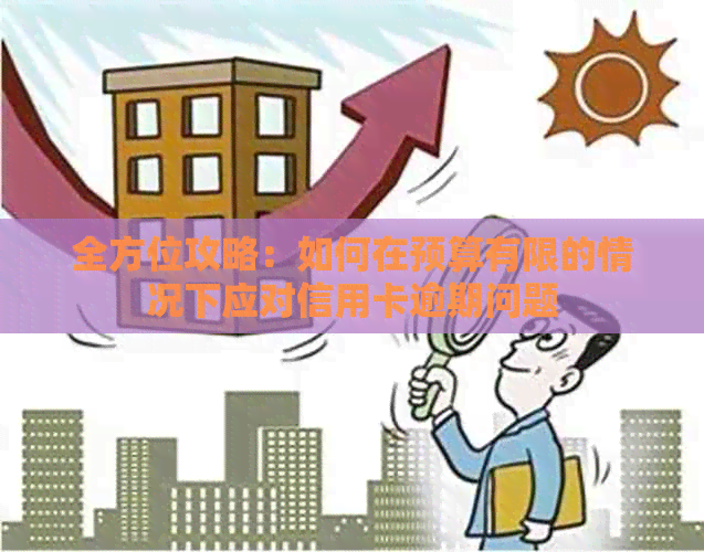 全方位攻略：如何在预算有限的情况下应对信用卡逾期问题