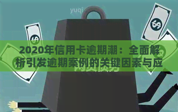 2020年信用卡逾期潮：全面解析引发逾期案例的关键因素与应对策略