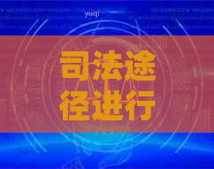 司法途径进行：案例、合法性及处理方式
