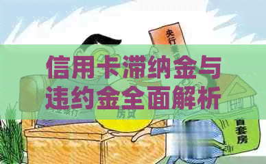 信用卡滞纳金与违约金全面解析：如何避免额外费用并合理使用信用卡