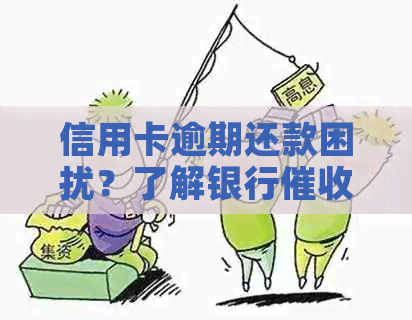 信用卡逾期还款困扰？了解银行员的工作挑战和应对策略