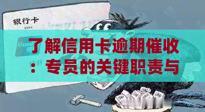 了解信用卡逾期：专员的关键职责与工作流程