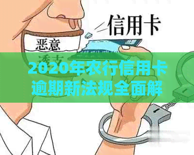 2020年农行信用卡逾期新法规全面解析：如何应对逾期还款、降低罚息及影响