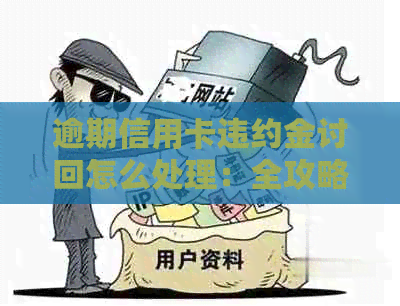 逾期信用卡违约金讨回怎么处理：全攻略与2021年计算方法