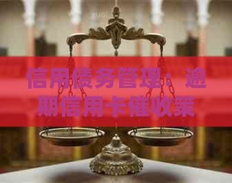 信用债务管理：逾期信用卡策略与实践