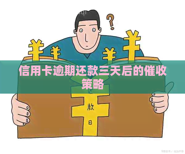 信用卡逾期还款三天后的策略