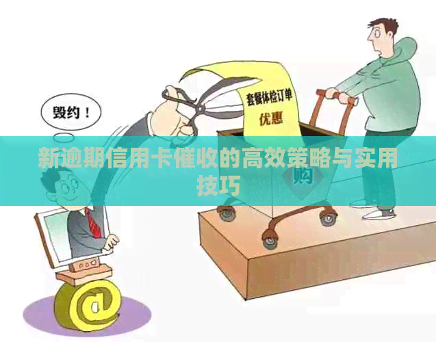 新逾期信用卡的高效策略与实用技巧