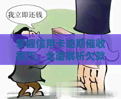 掌握信用卡逾期技巧，全面解析欠款处理方案