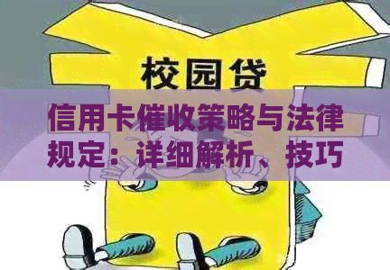 信用卡策略与法律规定：详细解析、技巧与案例分析