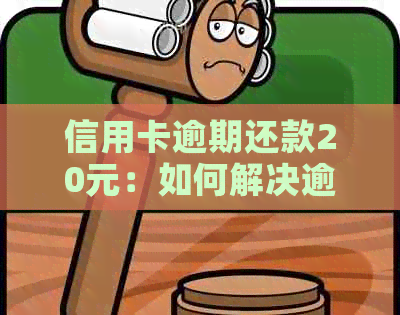 信用卡逾期还款20元：如何解决逾期问题、影响以及恢复信用的步骤详解