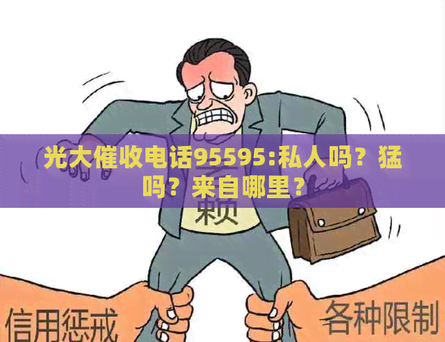 光大电话95595:私人吗？猛吗？来自哪里？