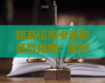 招商信用卡逾期还款指南：如何处理，避免罚款和信用损伤？