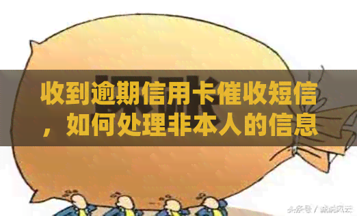 收到逾期信用卡短信，如何处理非本人的信息？
