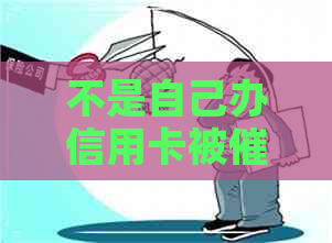 不是自己办信用卡被