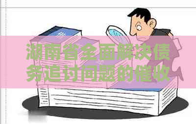 湖南省全面解决债务追讨问题的公司：专业、高效、合法